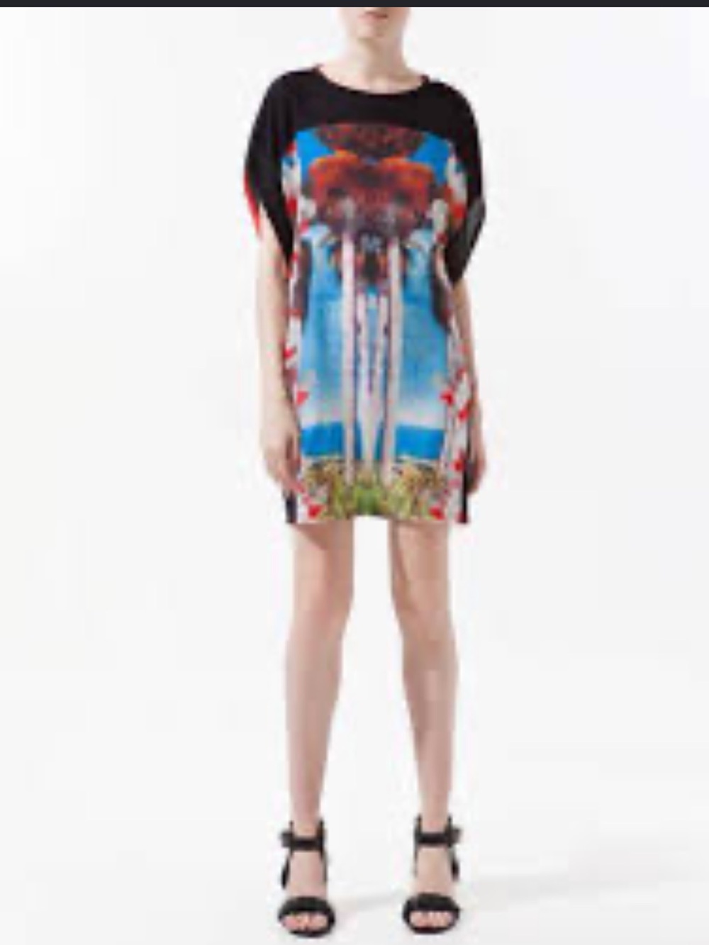 Zara Woman & Basic T Shirts/Mini Dress